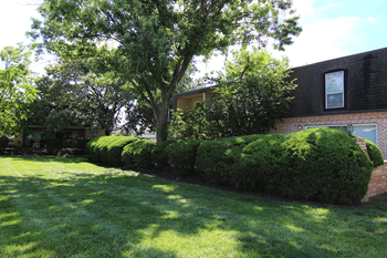 Rich landscaping & courtyards